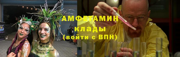 PSILOCYBIN Горнозаводск